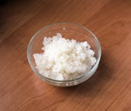 Fungus - zooglea 'Indian Maritime rice' royalty free stock image Fungus - zooglea 'Indian Maritime rice' royalty free stock image