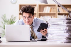 The funny accountant bookkeeper working in the office Stock Photography The funny accountant bookkeeper working in the office Stock Photography