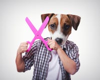 Anthropomorphic dog with big scissors Stock Images Anthropomorphic dog with big scissors Stock Images