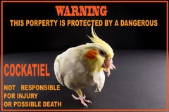 Funny Bird Memes, cute dangerous pet warnings