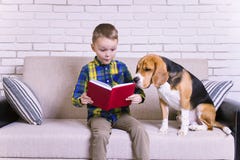 Funny boy reading a book with a beagle stock photo Funny boy reading a book with a beagle stock photo