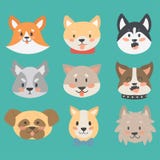 Funny cartoon dog character heads bread cartoon puppy friendly adorable canine vector illustration. royalty free illustration Funny cartoon dog character heads bread cartoon puppy friendly adorable canine vector illustration. royalty free illustration