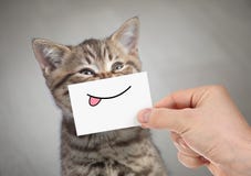 Funny cat smiling with tongue. Very funny cat with smile and tongue on cardboard stock image Funny cat smiling with tongue. Very funny cat with smile and tongue on cardboard stock image