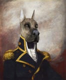 Funny Dog General, Commodore, Oil Painting