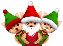 Funny Dog Santa and Elf. Christmas concept vector illustration Funny Dog Santa and Elf. Christmas concept vector illustration