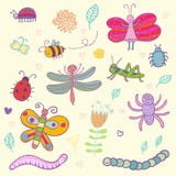 Funny insects