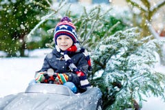 Funny little smiling kid boy driving toy car with Christmas tree. Stock Image Funny little smiling kid boy driving toy car with Christmas tree. Stock Image