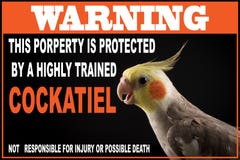 Funny Parrot memes, dangerous Pets warning
