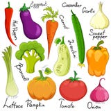 Funny vegetable cartoon isolated royalty free illustration Funny vegetable cartoon isolated royalty free illustration