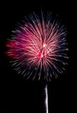 Fuochi d'artificio rossi, bianchi e blu fotografia stock Fuochi d'artificio rossi, bianchi e blu fotografia stock