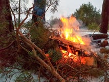 Fuoco di accampamento con la fiamma rossa nella foresta di inverno immagine stock Fuoco di accampamento con la fiamma rossa nella foresta di inverno immagine stock