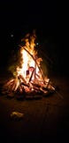 Fuoco nato immagini stock libere da diritti Fuoco nato immagini stock libere da diritti