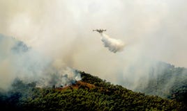 Fuoco nelle aree della foresta in Voiotia in Grecia centrale fotografia stock Fuoco nelle aree della foresta in Voiotia in Grecia centrale fotografia stock