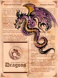 Furious Dragon drawing on old vintage book page vector illustration Furious Dragon drawing on old vintage book page vector illustration