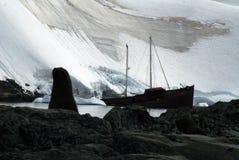 Futerkowa foka przed shipwreck w Antarctica zdjęcia royalty free Futerkowa foka przed shipwreck w Antarctica zdjęcia royalty free