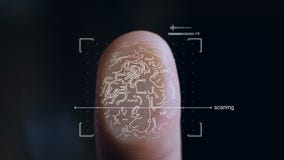 Futuristiskt digitalt bearbeta av en biometric fingeravtryckbildläsare arkivfilmer Futuristiskt digitalt bearbeta av en biometric fingeravtryckbildläsare arkivfilmer