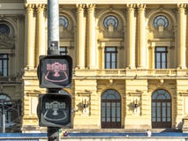 Fußgängersemaphor vor Unabhängigkeits-Park und Museu Paulista der Universität von Sao Paulo lizenzfreie stockfotografie Fußgängersemaphor vor Unabhängigkeits-Park und Museu Paulista der Universität von Sao Paulo lizenzfreie stockfotografie