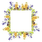 Fyrkantig ram för akvarell av eremurusen, blåklockor, sidor, purpurfärgade violets stock illustrationer Fyrkantig ram för akvarell av eremurusen, blåklockor, sidor, purpurfärgade violets stock illustrationer