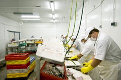 Fábrica del alimento de pescados imágenes de archivo libres de regalías Fábrica del alimento de pescados imágenes de archivo libres de regalías