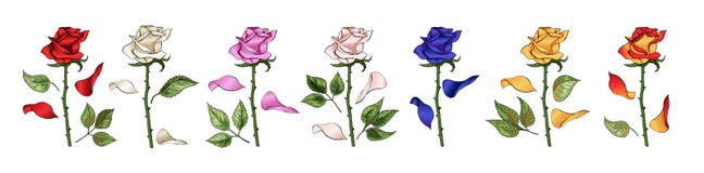 Färgade rosor räcker att dra och En blomstra rosebudsuppsättning också vektor för coreldrawillustration vektor illustrationer Färgade rosor räcker att dra och En blomstra rosebudsuppsättning också vektor för coreldrawillustration vektor illustrationer
