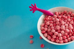 Färgrik bunkesädesslag med den gulliga flamingo royaltyfri fotografi Färgrik bunkesädesslag med den gulliga flamingo royaltyfri fotografi