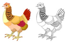 Färgrik och svartvit modellhöna royaltyfri illustrationer Färgrik och svartvit modellhöna royaltyfri illustrationer