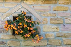 Färgrika blommor i nisch av väggen för gulingstentegelstenar arkivbilder Färgrika blommor i nisch av väggen för gulingstentegelstenar arkivbilder