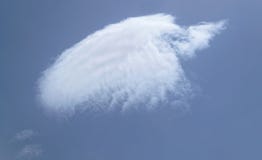 Fågel-format molnbildande i ett mörkt - blå himmel royaltyfria foton Fågel-format molnbildande i ett mörkt - blå himmel royaltyfria foton