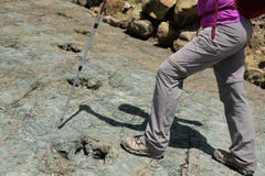 Fósiles de la impresión del dinosaurio en el cráter de Maragua Bolivia con el caminante foto de archivo libre de regalías Fósiles de la impresión del dinosaurio en el cráter de Maragua Bolivia con el caminante foto de archivo libre de regalías