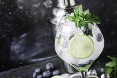 För coctailblåbär för sommar alkoholiserad mojito med rom, mintkaramell, limefrukt arkivfoton För coctailblåbär för sommar alkoholiserad mojito med rom, mintkaramell, limefrukt arkivfoton