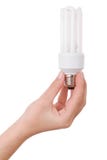 för handholding för kula kompakt fluorescerande lampa arkivbilder för handholding för kula kompakt fluorescerande lampa arkivbilder