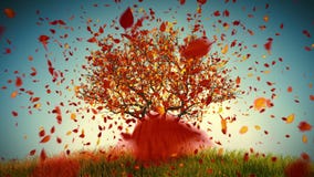 för illustrationtree för höst tillgänglig vektor defoliation för illustrationtree för höst tillgänglig vektor defoliation