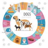 För informationsdiagram om hund mall Heatlh omsorg, veterinär, näring, exhibiti vektor illustrationer För informationsdiagram om hund mall Heatlh omsorg, veterinär, näring, exhibiti vektor illustrationer