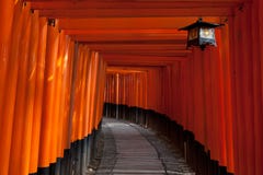för japan kyoto för fushimiportinari tunnel relikskrin Arkivbild för japan kyoto för fushimiportinari tunnel relikskrin Arkivbild