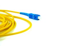 För kabellapp för optisk fiber kabel för nätverksströmbrytaren som isoleras på wh royaltyfri bild För kabellapp för optisk fiber kabel för nätverksströmbrytaren som isoleras på wh royaltyfri bild