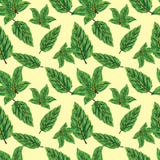 För modellvektor för härliga sidor sömlös bakgrund för design stock illustrationer För modellvektor för härliga sidor sömlös bakgrund för design stock illustrationer
