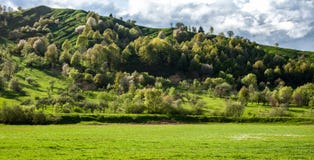 Förbluffa panorama- landskap med grönt gräs, kullar och träd, soligt väder, molnig himmel arkivfoto Förbluffa panorama- landskap med grönt gräs, kullar och träd, soligt väder, molnig himmel arkivfoto