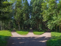 Föreningspunkten, tre skogvägar konvergerar in i en arkivbilder Föreningspunkten, tre skogvägar konvergerar in i en arkivbilder