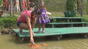 Fütterungsfische der Frau und der Tochter im Teich die Reserveweggänse Viele Fische stock video Fütterungsfische der Frau und der Tochter im Teich die Reserveweggänse Viele Fische stock video