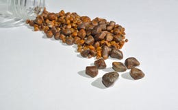 Gallstones from single operation. stock images Gallstones from single operation. stock images