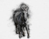 Galopujący koński przestylizowanie pod ołówkowym rysunkiem royalty ilustracja Galopujący koński przestylizowanie pod ołówkowym rysunkiem royalty ilustracja