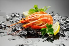 gamberi Gamberetti freschi su un fondo nero Frutti di mare su ghiaccio schiantato con le erbe Alimento sano fotografie stock libere da diritti gamberi Gamberetti freschi su un fondo nero Frutti di mare su ghiaccio schiantato con le erbe Alimento sano fotografie stock libere da diritti