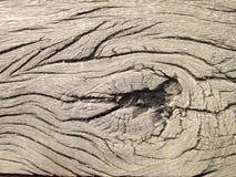 Gammal trätextur som av naturen göras Torkat träbräde arkivbild Gammal trätextur som av naturen göras Torkat träbräde arkivbild