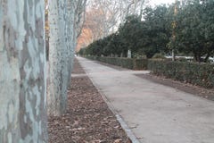 Gang door het park met twee mensen in de afstand stock afbeelding Gang door het park met twee mensen in de afstand stock afbeelding