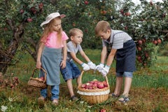 Gants de tablier d'aide de panier de jardin de pomme de soeur de frère de garçon de fille d'enfants ensemble les grands fonctionn images libres de droits Gants de tablier d'aide de panier de jardin de pomme de soeur de frère de garçon de fille d'enfants ensemble les grands fonctionn images libres de droits