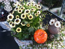 Garden with beautiful flowers with mini owls and pumpkin royalty free stock photo Garden with beautiful flowers with mini owls and pumpkin royalty free stock photo