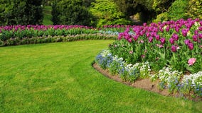 Garden with a Colourful Flowerbed and Grass Lawn