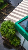 Garden in the corner of a building stock image Garden in the corner of a building stock image