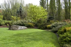 Garden Lawn After Spring Rain Royalty Free Stock Image Garden Lawn After Spring Rain Royalty Free Stock Image