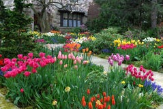 Garden with spring flowers stock photography Garden with spring flowers stock photography